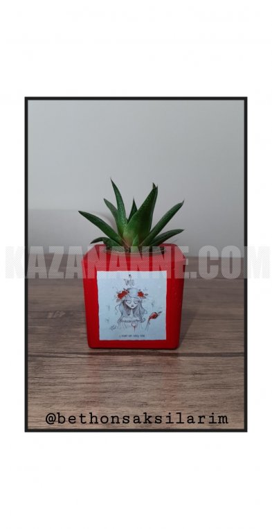 Başak burçlarına özel #betonsaksı 